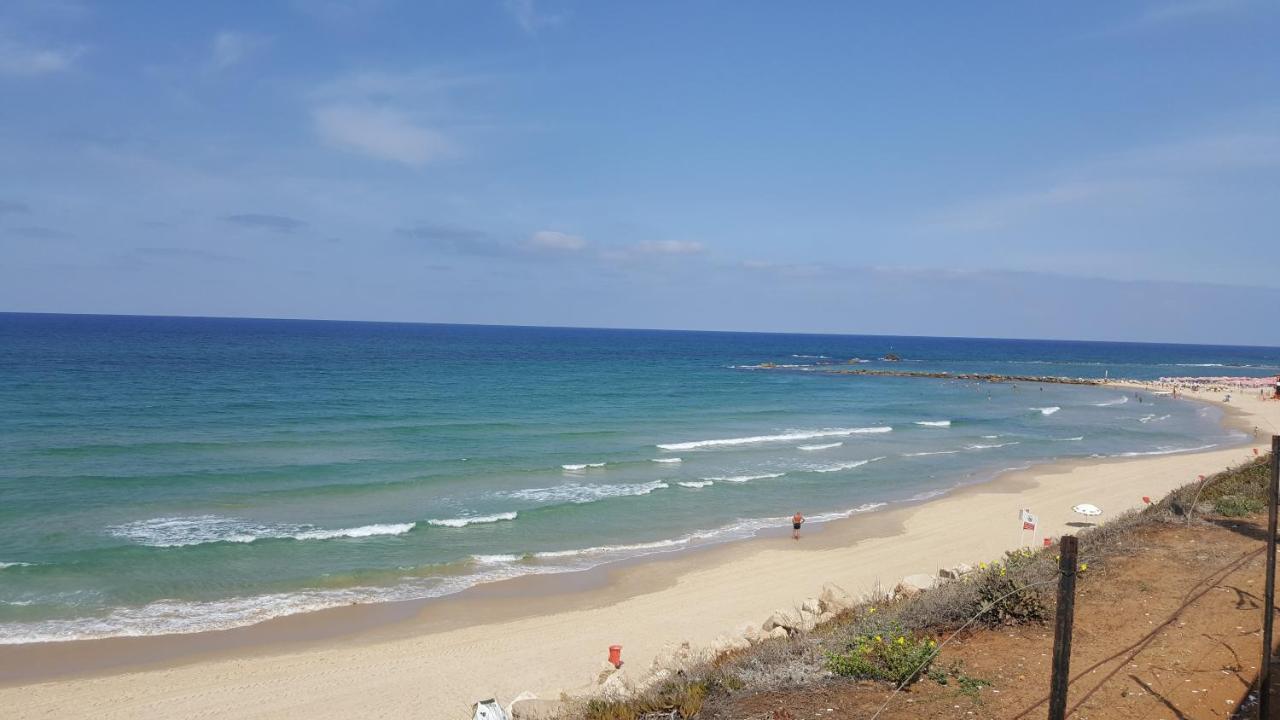 Beutifull View Of Batyam Lejlighed Bat Yam Eksteriør billede